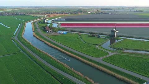 Dutch windmills with colorful tulip fields and canal boat Stock Footage 341523612