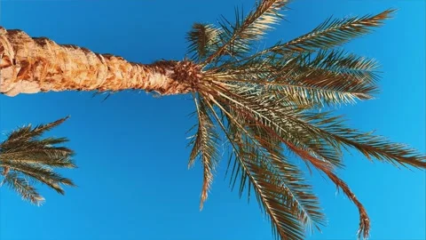 DUXG4965 Stock Footage 243760566
