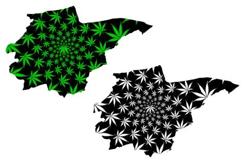 Duzce (Provinces of the Republic of Turkey) map is designed cannabis leaf gre Stock Illustration