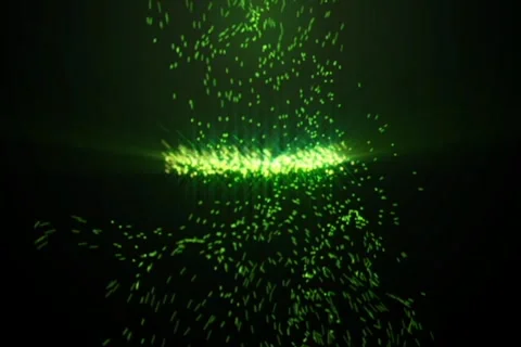 Dv greentimeparticles Video stock 1039715