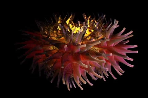 Dv matrixstar right Video stock 1039728