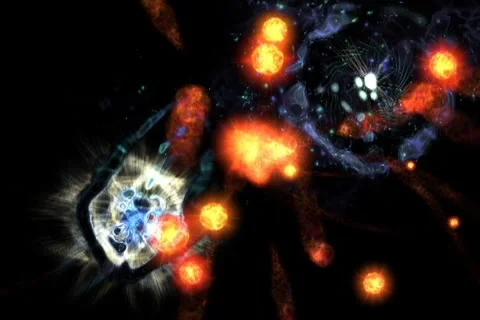 DV orgiastic 1 Video stock 1039739