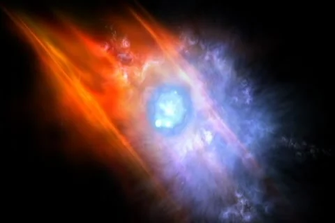 DV VELTOR 2 Video stock 1039776