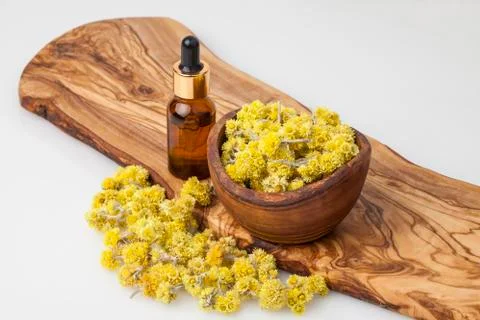 Dvarf Everlast Stock Photos