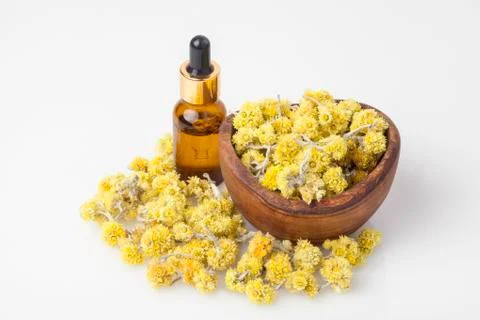 Dvarf Everlast Stock Photos