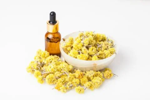 Dvarf Everlast Stock Photos