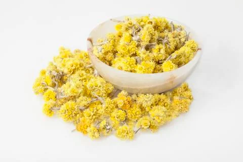 Dvarf Everlast 스톡 사진