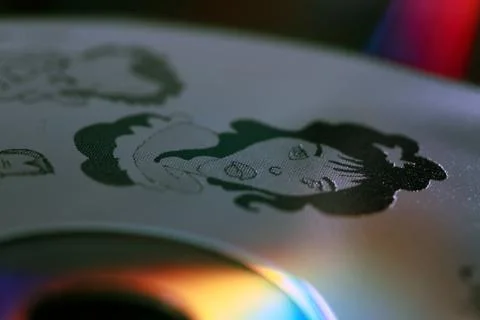 DVD Lady Stock Photos