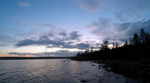 Dwarf birch, spruce and dwarf. Big Lake in Scandinavia, Europe. Taymlaps Video stock 55300124