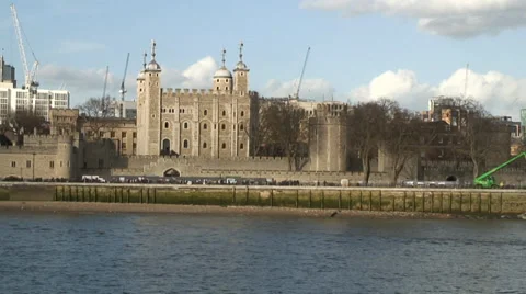 Dwarf daffodils in flower bed 05 Video stock 35596554