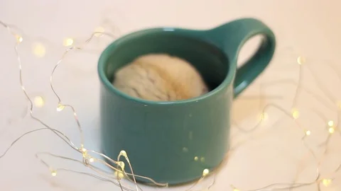 Dwarf hamster sitting in a mug close-up, white background with bokeh Stock Footage 122189970