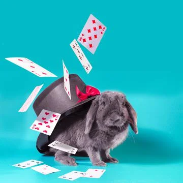 Dwarf rabbit under a hat with a cylinder and flying cards on a turquoise back Stock Photos