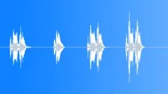 Dwarf rooster crowing Sound Effect