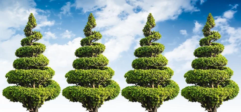 Dwarf tree isolated on sky and clouds Stock Illustration