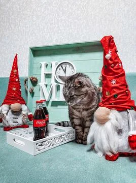 Dwarves, cat, Coca-Cola, clock and New Year's Eve Stock Photos