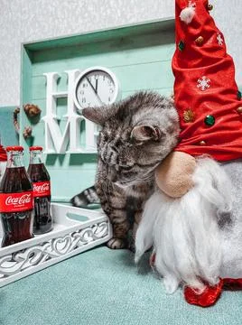 Dwarves, cat, Coca-Cola, clock and New Year's Eve Stock Photos