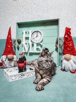 Dwarves, cat, Coca-Cola, clock and New Year's Eve Stock Photos