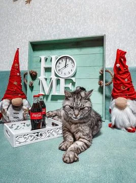 Dwarves, cat, Coca-Cola, clock and New Year's Eve Stock Photos