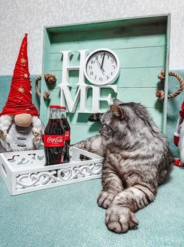 Dwarves, cat, Coca-Cola, clock and New Year's Eve Stock Photos