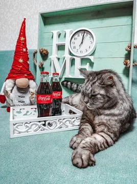Dwarves, cat, Coca-Cola, clock and New Year's Eve Stock Photos