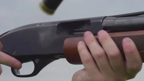 Dwell of Cases 4K TZ Stock Footage 288095224