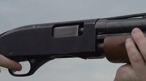 Dwell of Cases Stock Footage 39552867