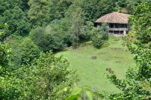 Dwelling in the mountains Stock Photos