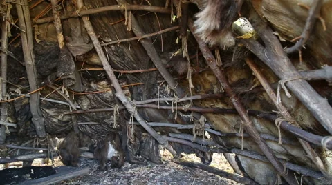 Dwelling of the Stone or Bronze Age, inside view Stock Footage 54687396