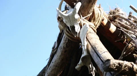Dwelling of the Stone or Bronze Age, the skulls and bones of animals Видео 54687658