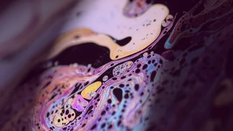 Spectrum Wetv Stock Videos – Royalty-Free HD & 4K Videos | Pond5