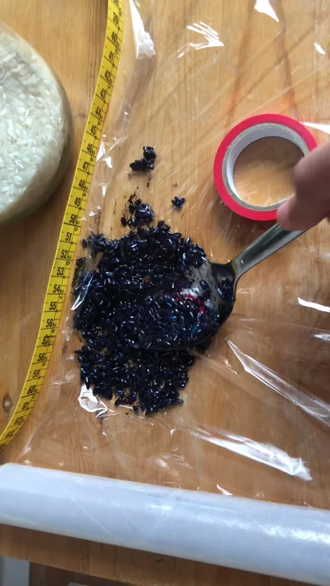 Dyed Dark Blue Rice Texture In Plastic Wrap CloseUp Stock Footage 333062556