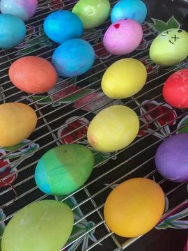 Dyed Easter Eggs Drying on a Cooling Rack Stock Photos