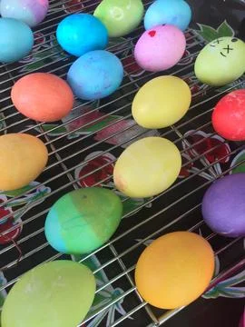 Dyed Easter Eggs Drying on a Cooling Rack Stock Photos