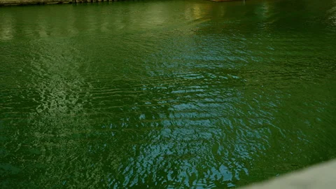 Dyed green river for saint patrick's day in Chicago Stock Footage 243677014
