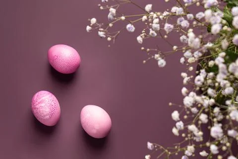 Dyed pink easter eggs with beautiful flowers on a purple background. Stock Photos