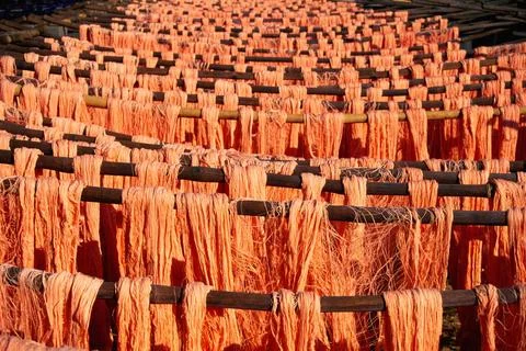 Dyed yarn kept for drying at bed sheet factory Sholapur, Maharashtra, Indi... Stock Photos