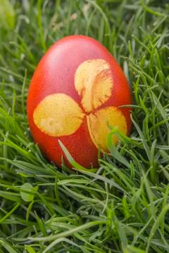 Dyeing Printed Easter Egg Stock Photos