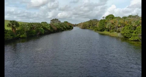Dyer Park Lake fly Low over water west Stock Footage 267046605