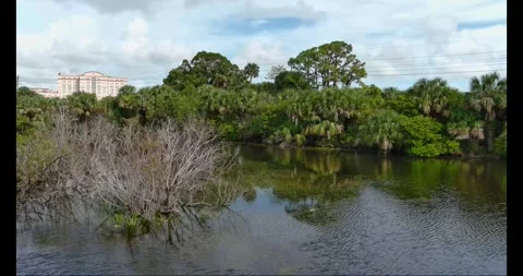 Dyer Park Lake fly Low east water trees Stock Footage 267046625