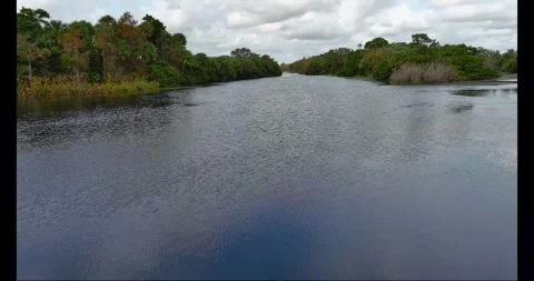 Dyer Park Lake fly Low over water west 2 Stock Footage 267046631