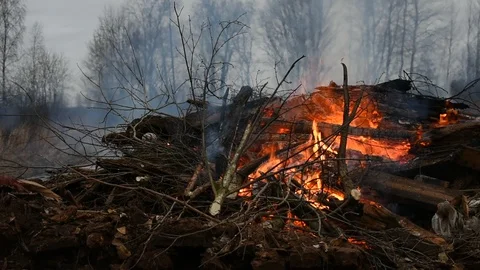 Dying big fire Stock Footage 123111481