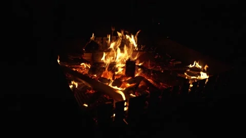 A Dying Campfire Stock Footage 310861798