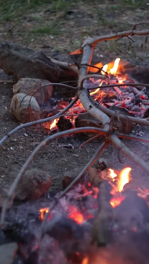 Dying Campfires in the Forest (Vertical Video) Stock Footage 321430108