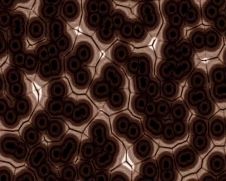 Dying Cells 库存影片 103875