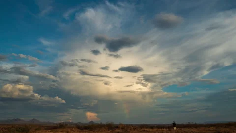 Dying Day Stock Footage 219714724