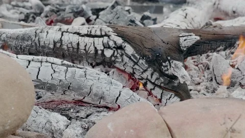 The dying embers of the campfire Stock Footage 175237321