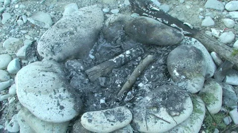 Dying fire 3 Stock Footage 808098