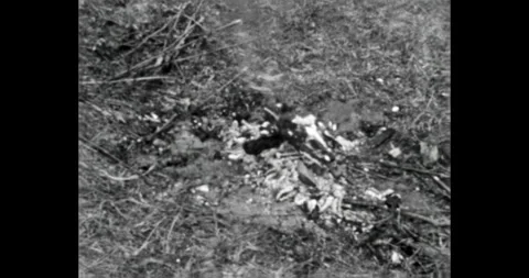 A dying fire in a clearing after a rest stop 動画素材 306651498