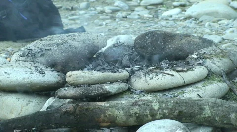 Dying fire Stock Footage 808114