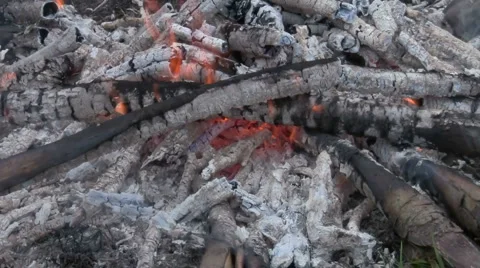 Dying fire Video stock 4528007